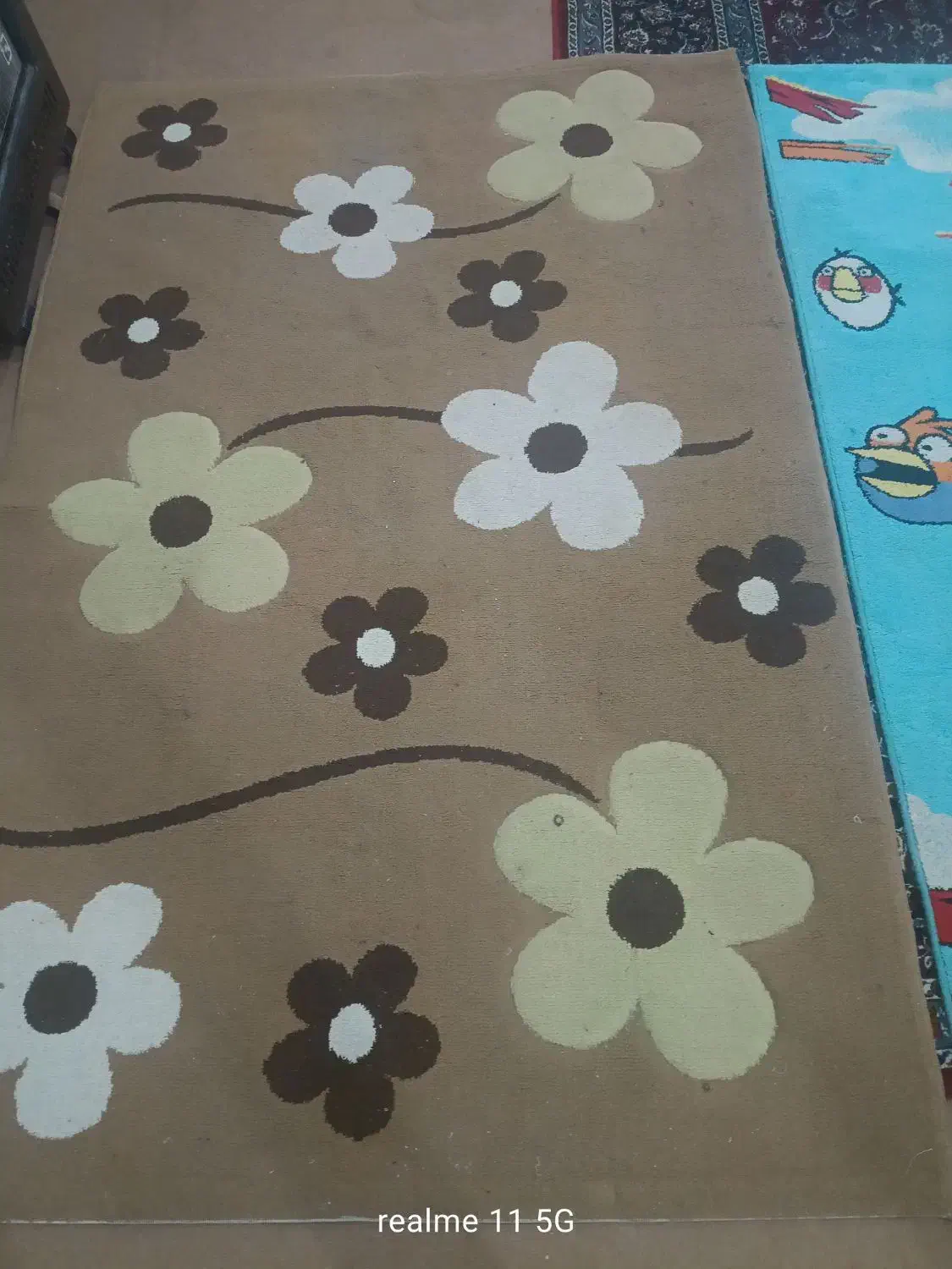 موکت ضخیم|موکت|اردبیل, |دیوار