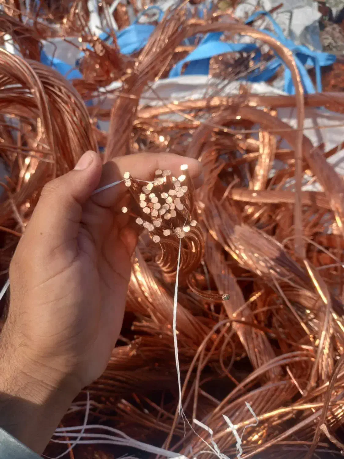 مس ،|عمده‌فروشی|بندر کنگان, |دیوار