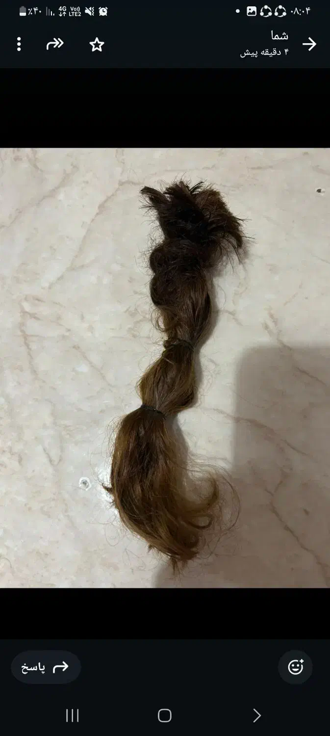 موی طبیعی|آرایشی، بهداشتی، درمانی|رشت, فلسطین|دیوار