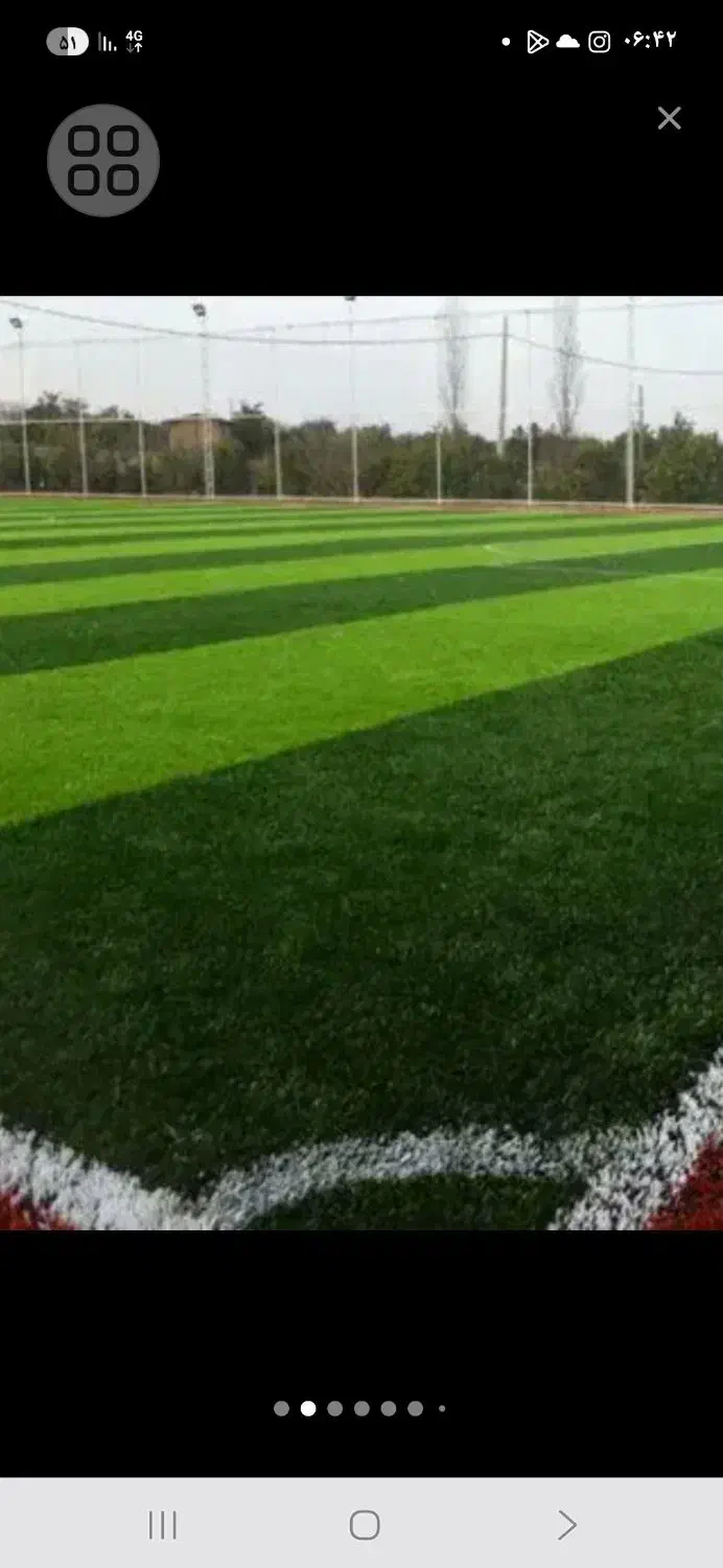 چمن طبیعی|گل و گیاه طبیعی|کاشان, مزرعه نو|دیوار