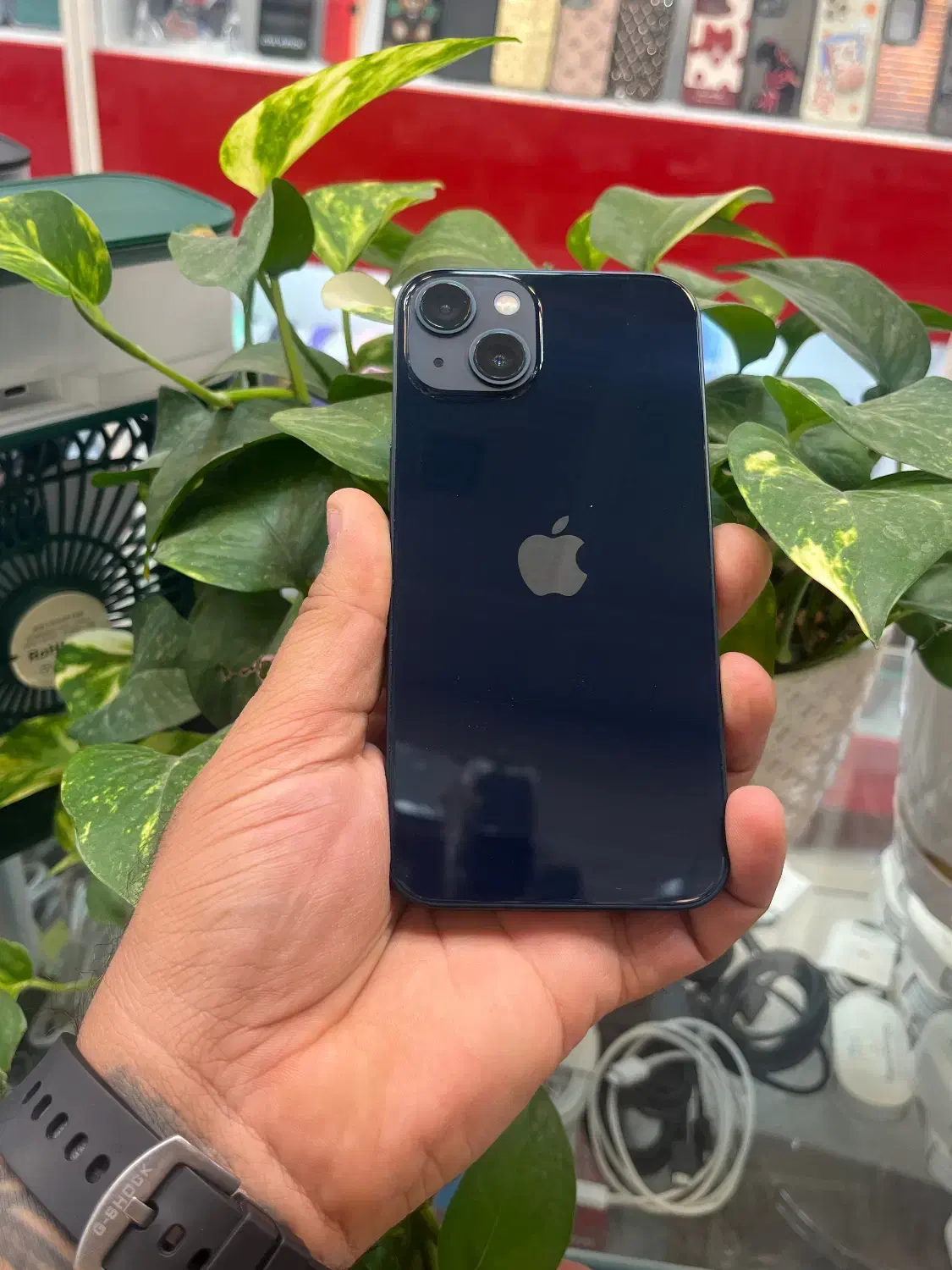 Iphone 13 cha 128G|موبایل|شیراز, زند|دیوار