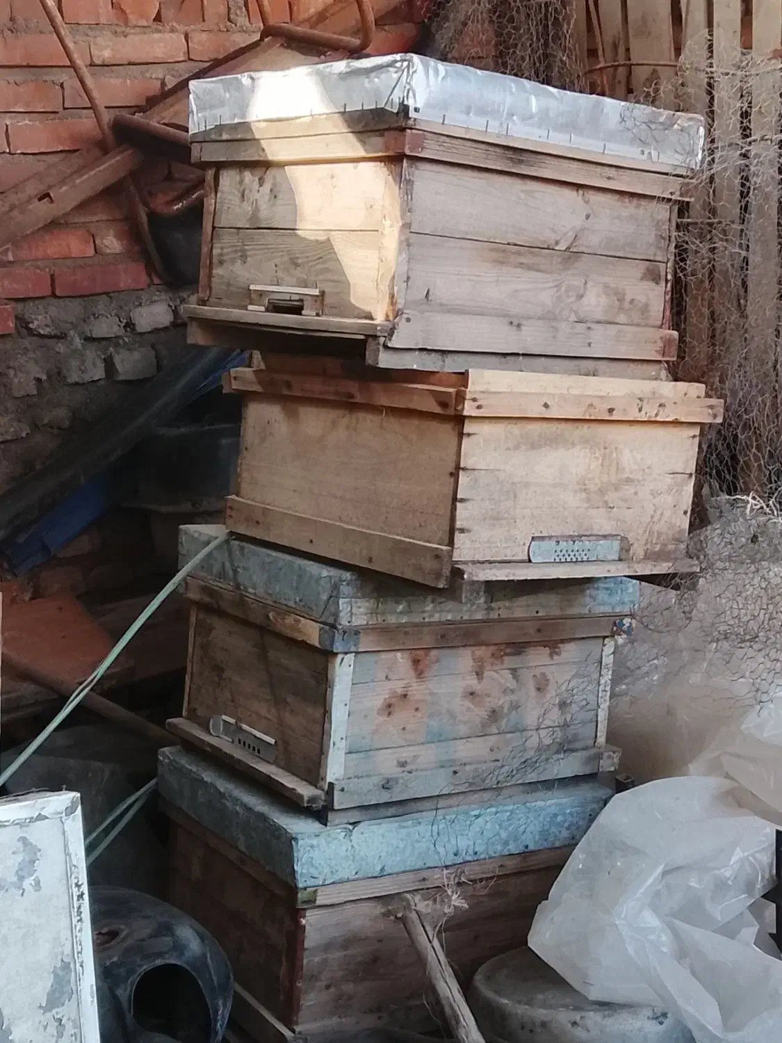 کندو|حیوانات مزرعه|قرق, |دیوار