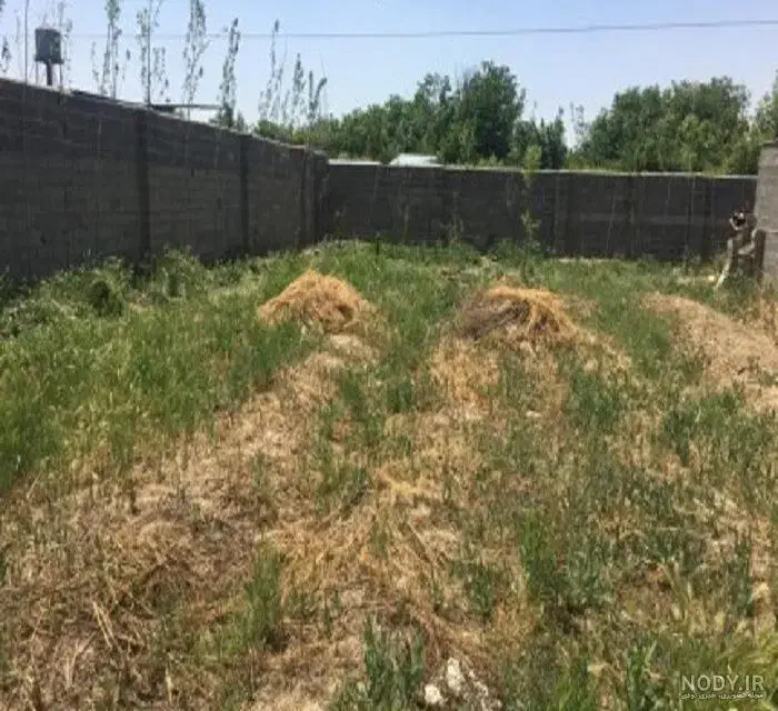 زمین کشاورزی 1000متری دولت آباد|فروش زمین و ملک کلنگی|حبیب آباد, |دیوار