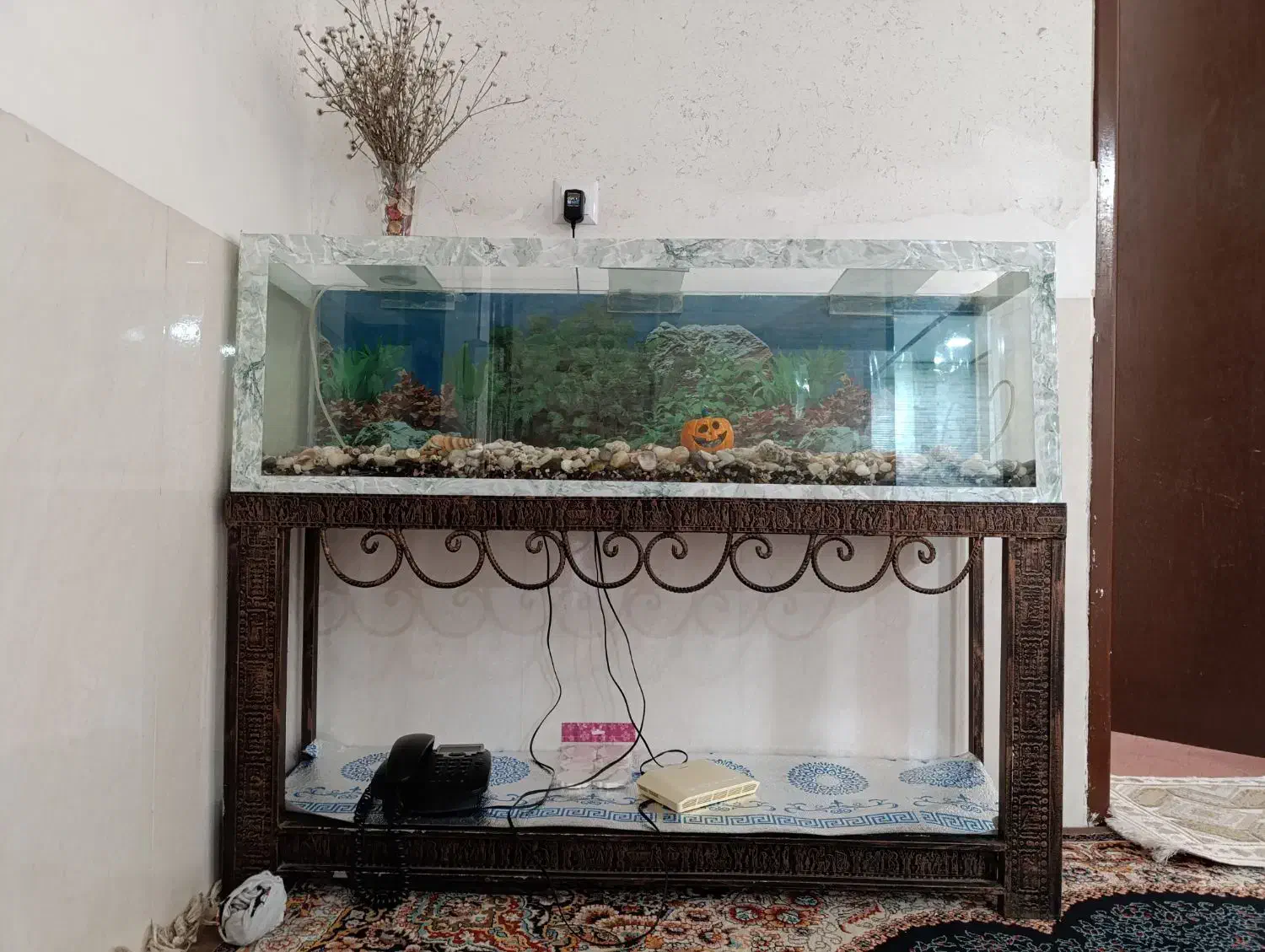 آکواریوم با وسایل|ماهی|سپیدان, |دیوار