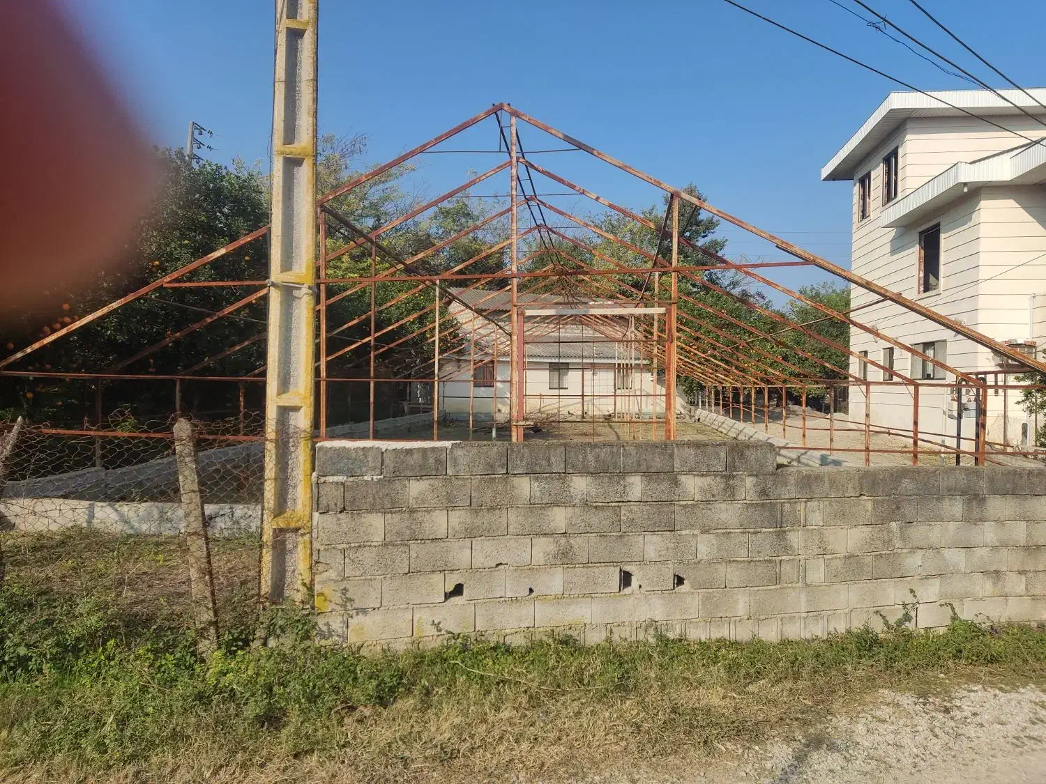 اجاره گلخانه|اجارهٔ دفتر صنعتی، کشاورزی، تجاری|چالوس, |دیوار