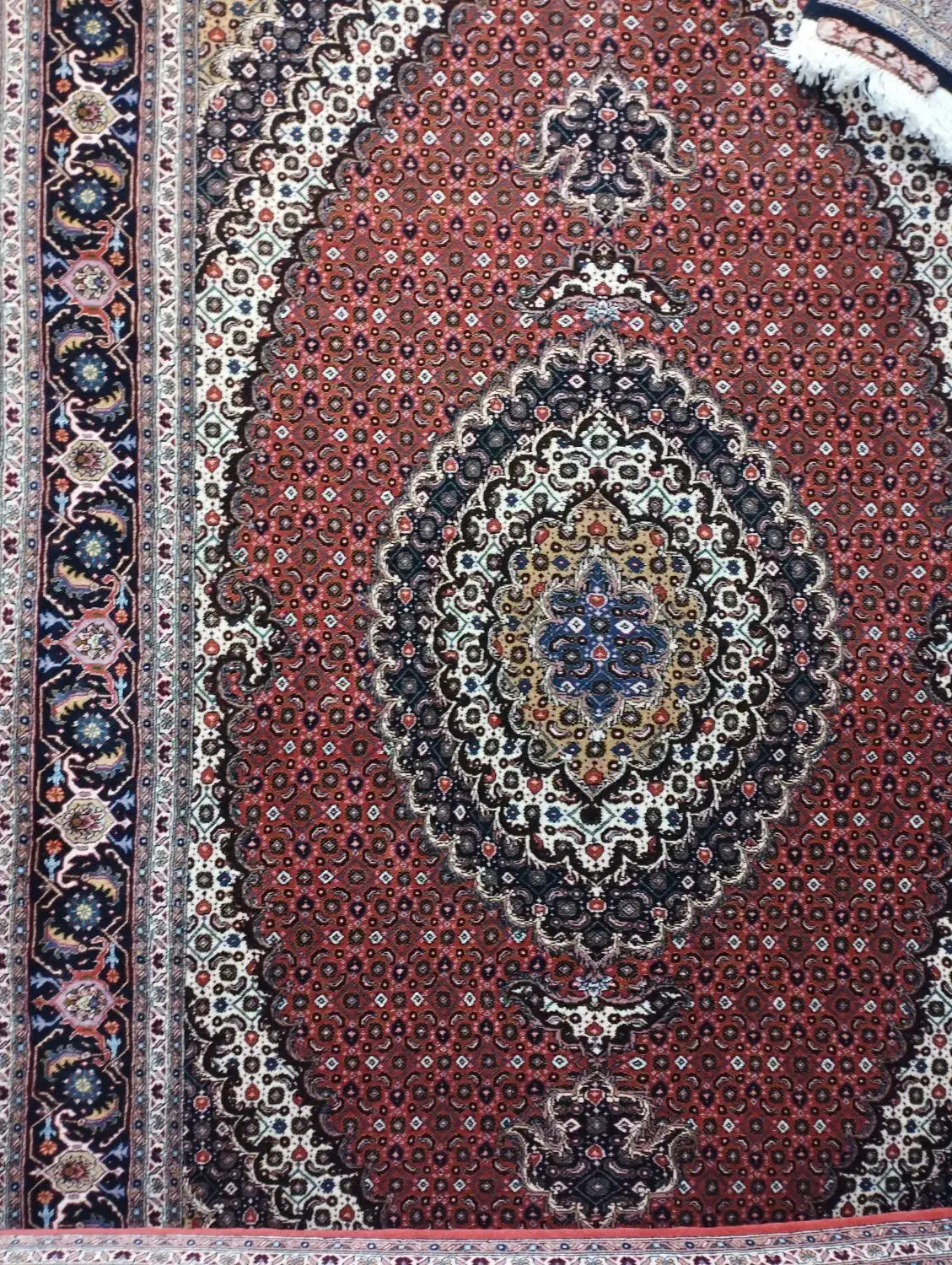 فرش دست بافت 6متری ماهی اردبیل|فرش|اردبیل, |دیوار
