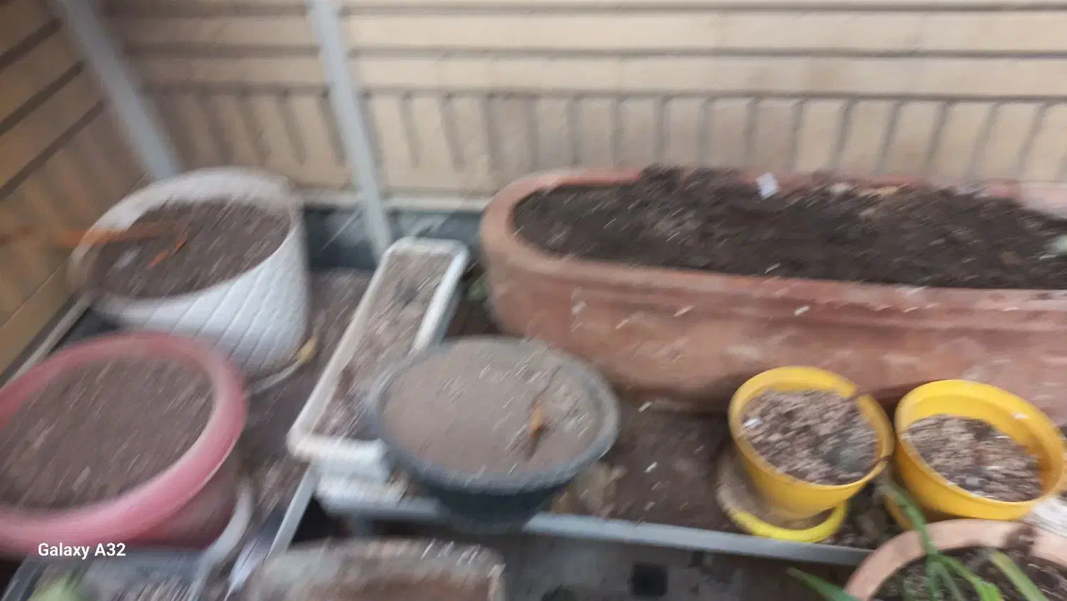 گلدان سفالی|گل و گیاه طبیعی|قم, ناصردیوان|دیوار