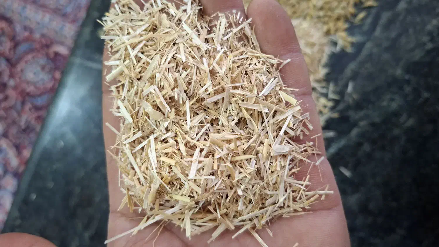 جو کاه نان خشک|لوازم جانبی حیوانات|نگین شهر, |دیوار