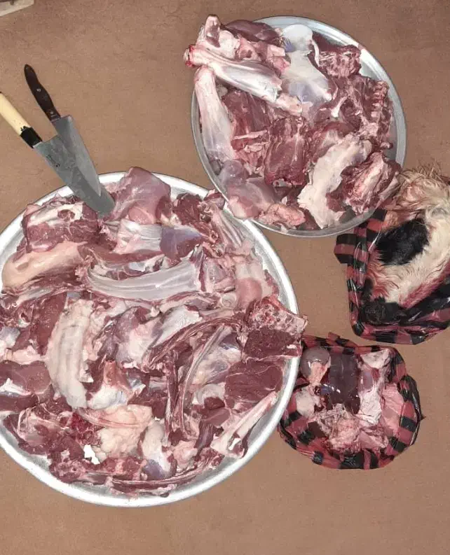 قصاب سیار قصابی گاو گوسفند و... در محل|خدمات پذیرایی، مراسم|ارومیه, |دیوار