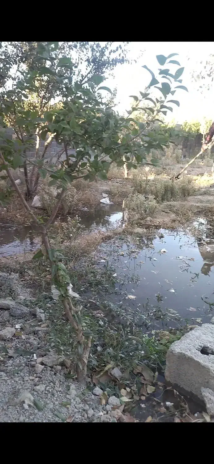 باغچه ۳۸۰متر چهاردیواری نصیرآباد شهریار|فروش دفتر صنعتی، کشاورزی، تجاری|باغستان, |دیوار