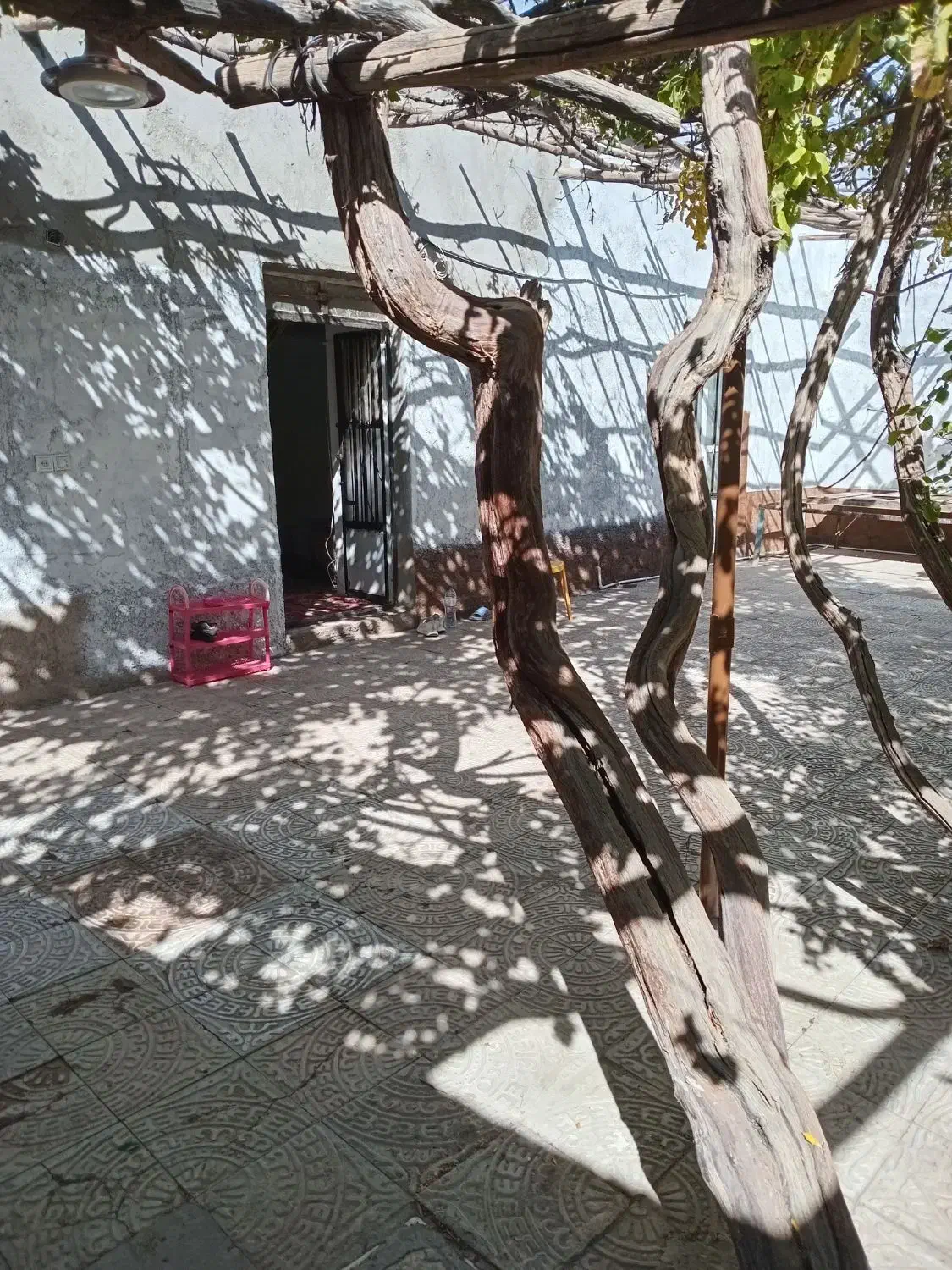 خونه باغ در ماهان|اجارهٔ خانه و ویلا|ماهان, |دیوار