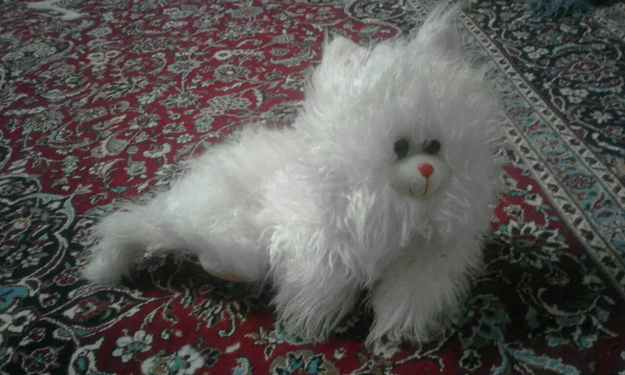 اسباب بازی|اسباببازی|تربتحیدریه, بی بی حسنیه|دیوار