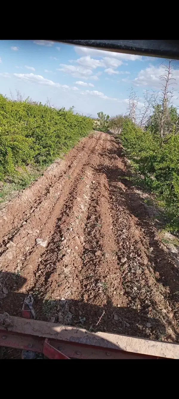 تراکتور فرگوسن ادوات کشاورزی دیسک گاو اهن کانت..|خودرو سنگین|درمیان, |دیوار