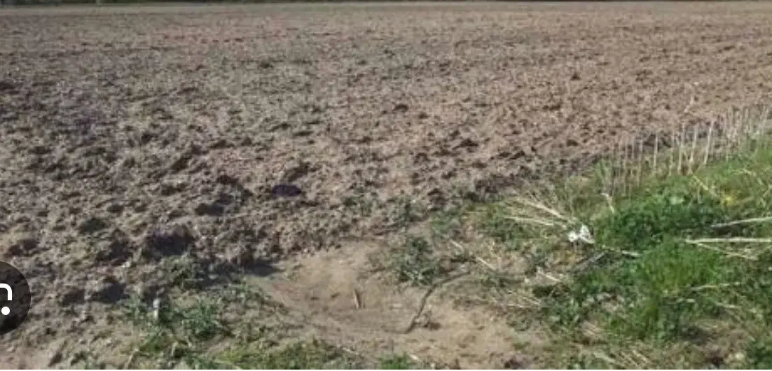 زمین در خسرواباد|فروش دفتر صنعتی، کشاورزی، تجاری|نظرآباد, خسروآباد|دیوار