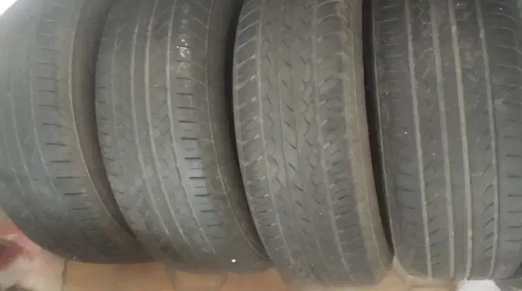 لاستیک سمندی بارز|قطعات یدکی و لوازم جانبی|حمیدیا, |دیوار