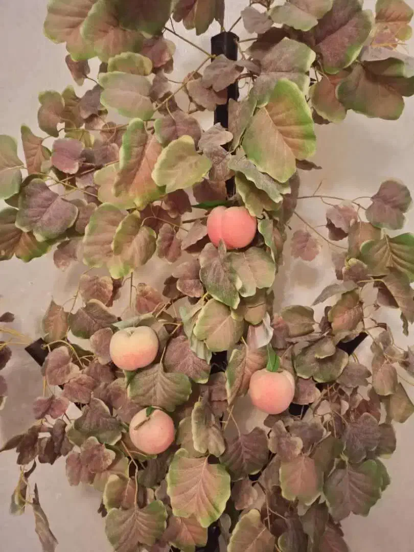 درخت مصنوعی ۲ متر|گل مصنوعی|تبریز, |دیوار