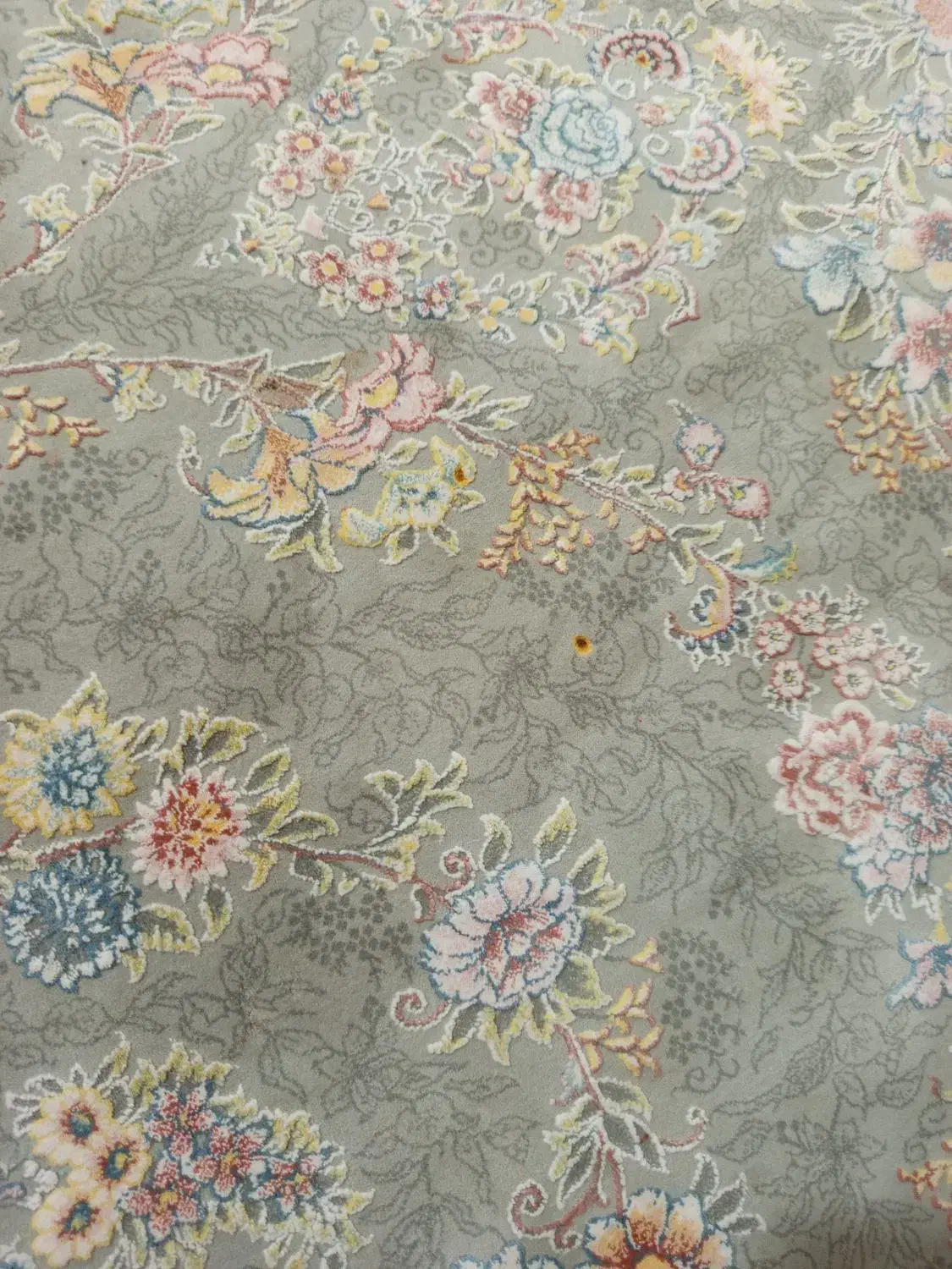 فقط یک عدد|فرش|ابهر, |دیوار