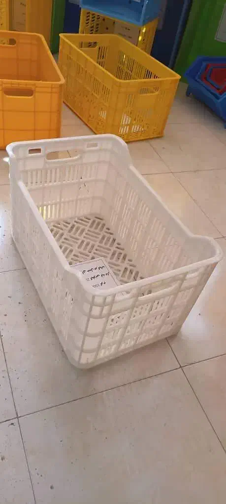 سبد صیفیجات ومرکبات|عمده‌فروشی|پاکدشت, پاکدشت (مامازند)|دیوار