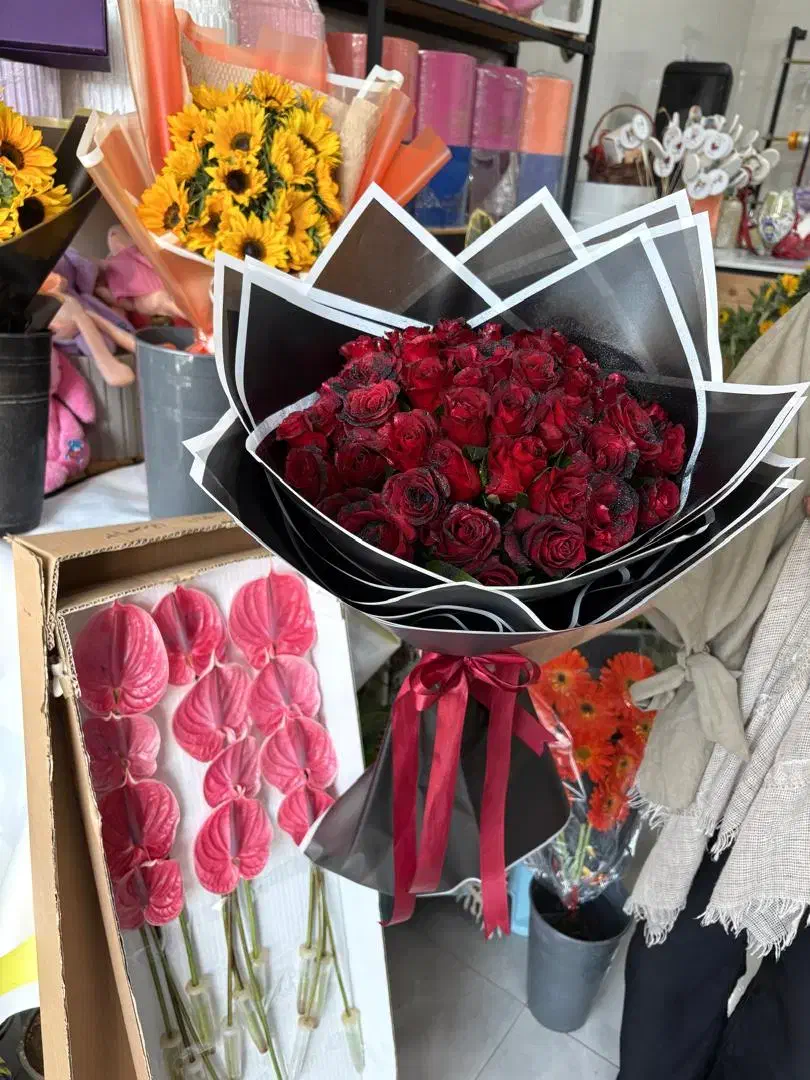 گل جردن|گل و گیاه طبیعی|شیراز, قدوسی شرقی|دیوار