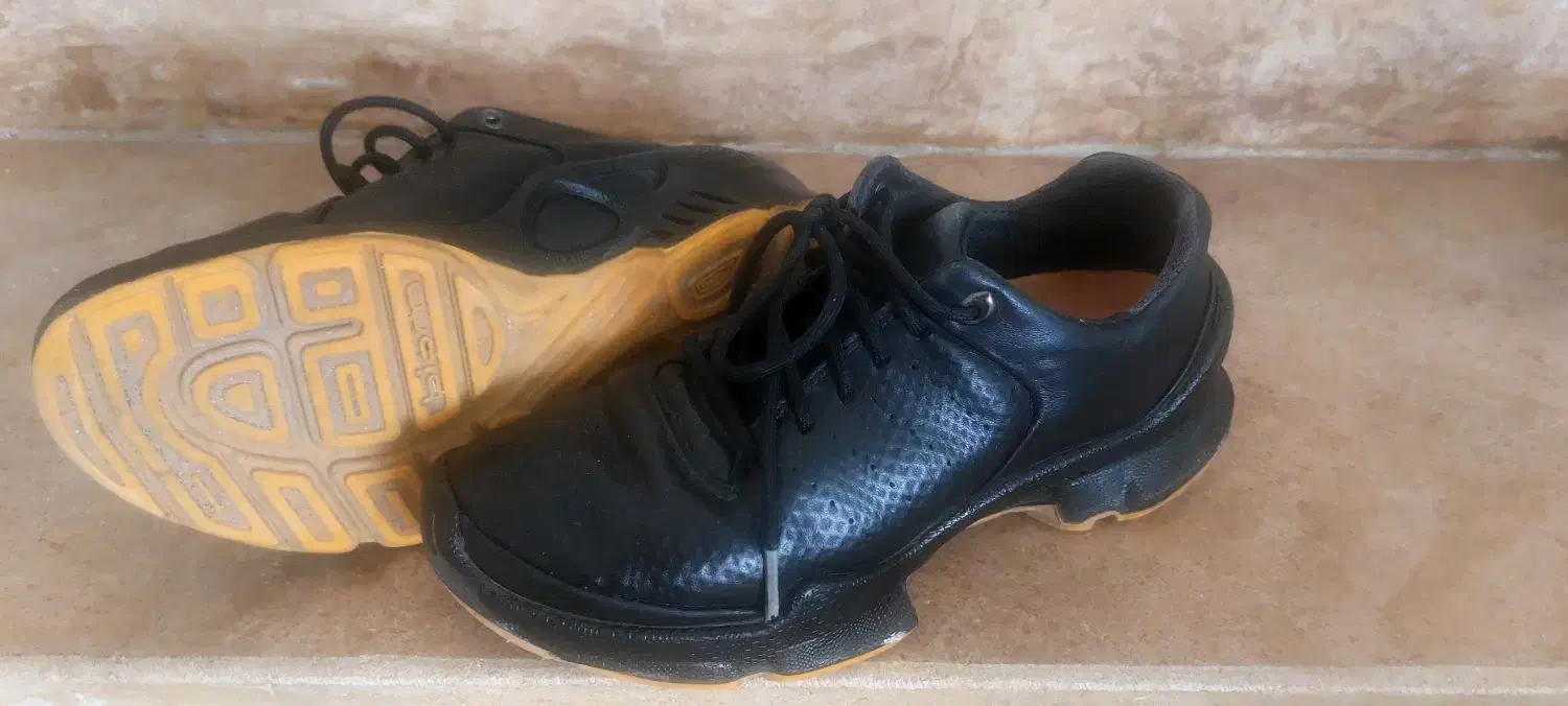 کفش اکو سایز ۳۸ بایوم cاصلی|کیف، کفش، کمربند|قشم, |دیوار