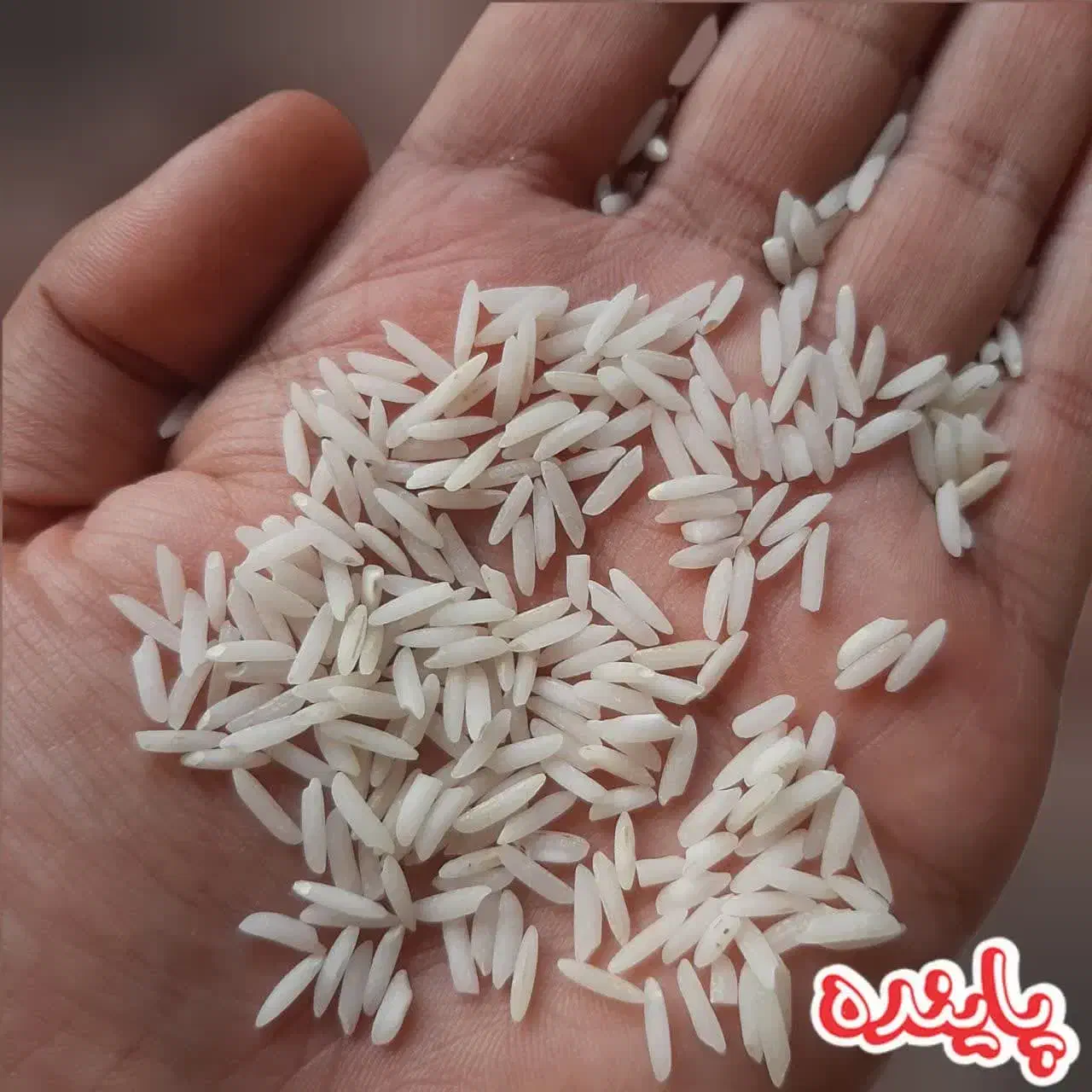 برنج هاشمی اعلا|خوردنی و آشامیدنی|رودبنه, |دیوار