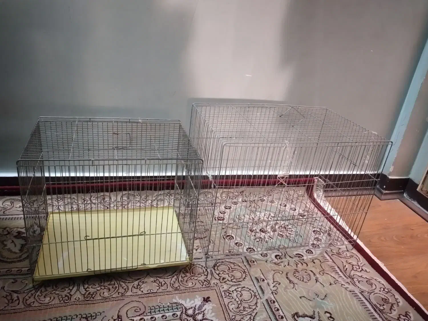 قفس پرنده|لوازم جانبی حیوانات|پاکدشت, پاکدشت (مامازند)|دیوار