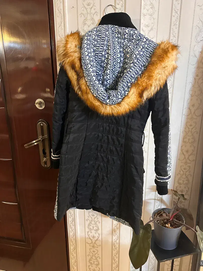 پالتو نو|لباس|مشهد, عامل|دیوار