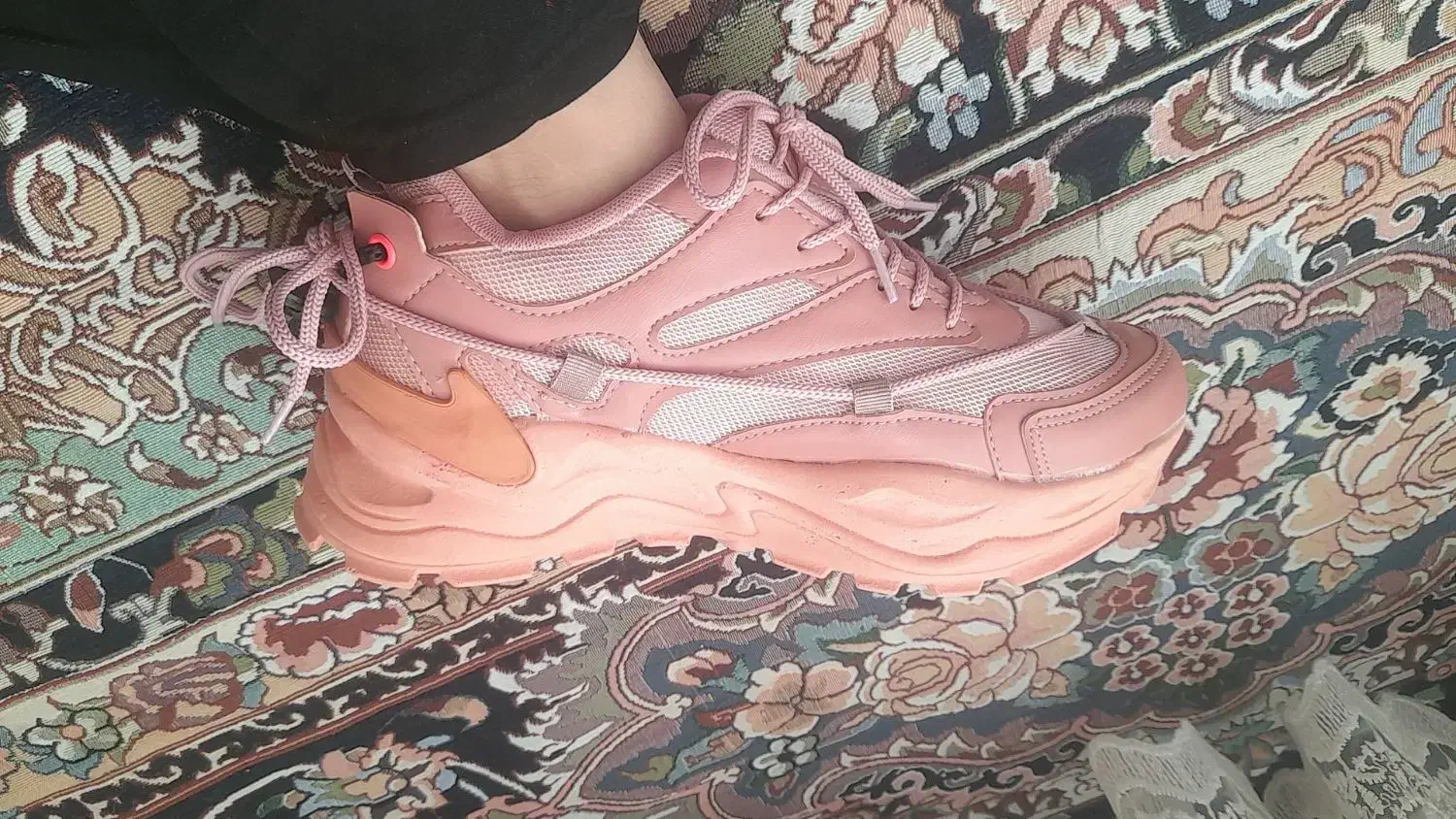 کفش|کیف، کفش، کمربند|لردگان, |دیوار