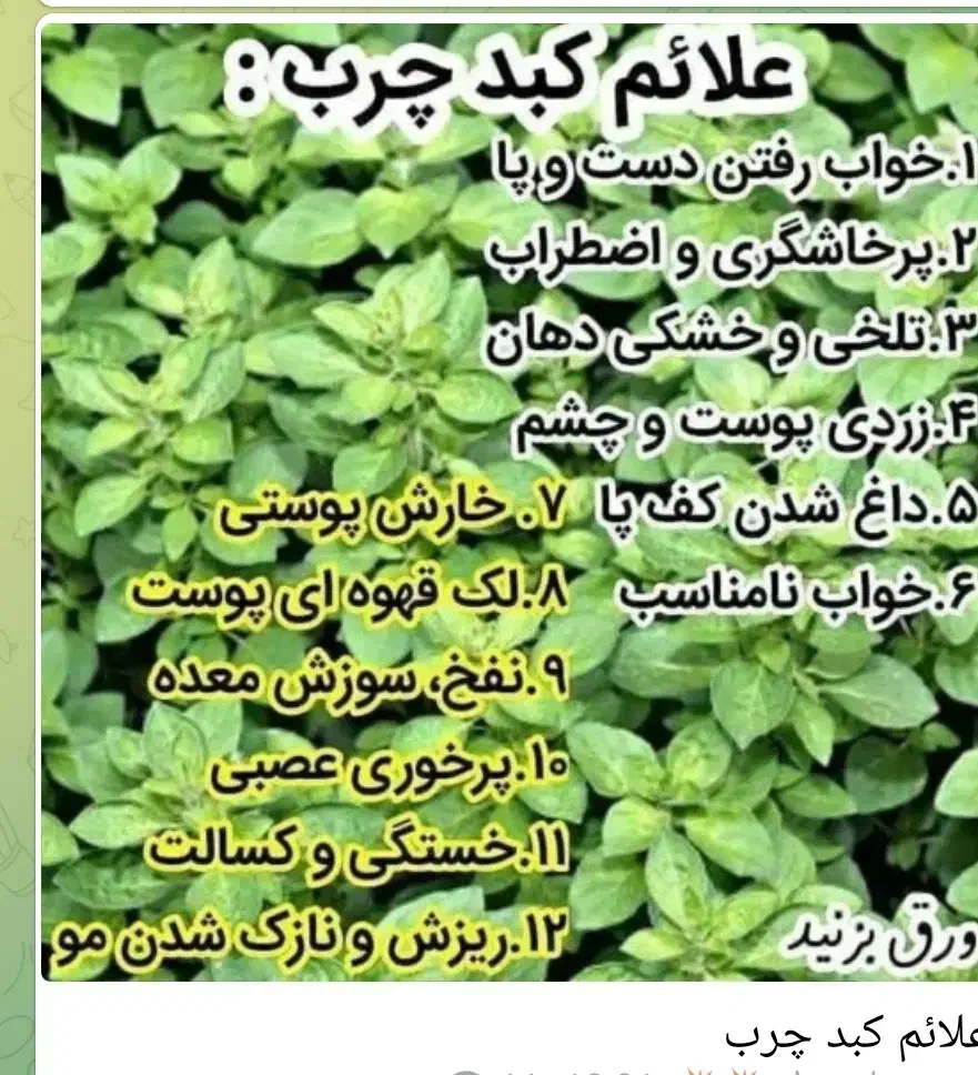 همکاری با نوان|استخدام آموزشی|میامی, |دیوار