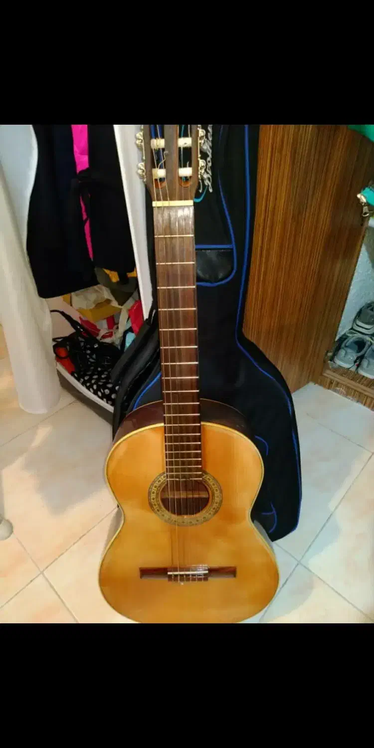 گیتار کلاسیک اسپانیایی اصل|گیتار، بیس، امپلیفایر|کیش, |دیوار