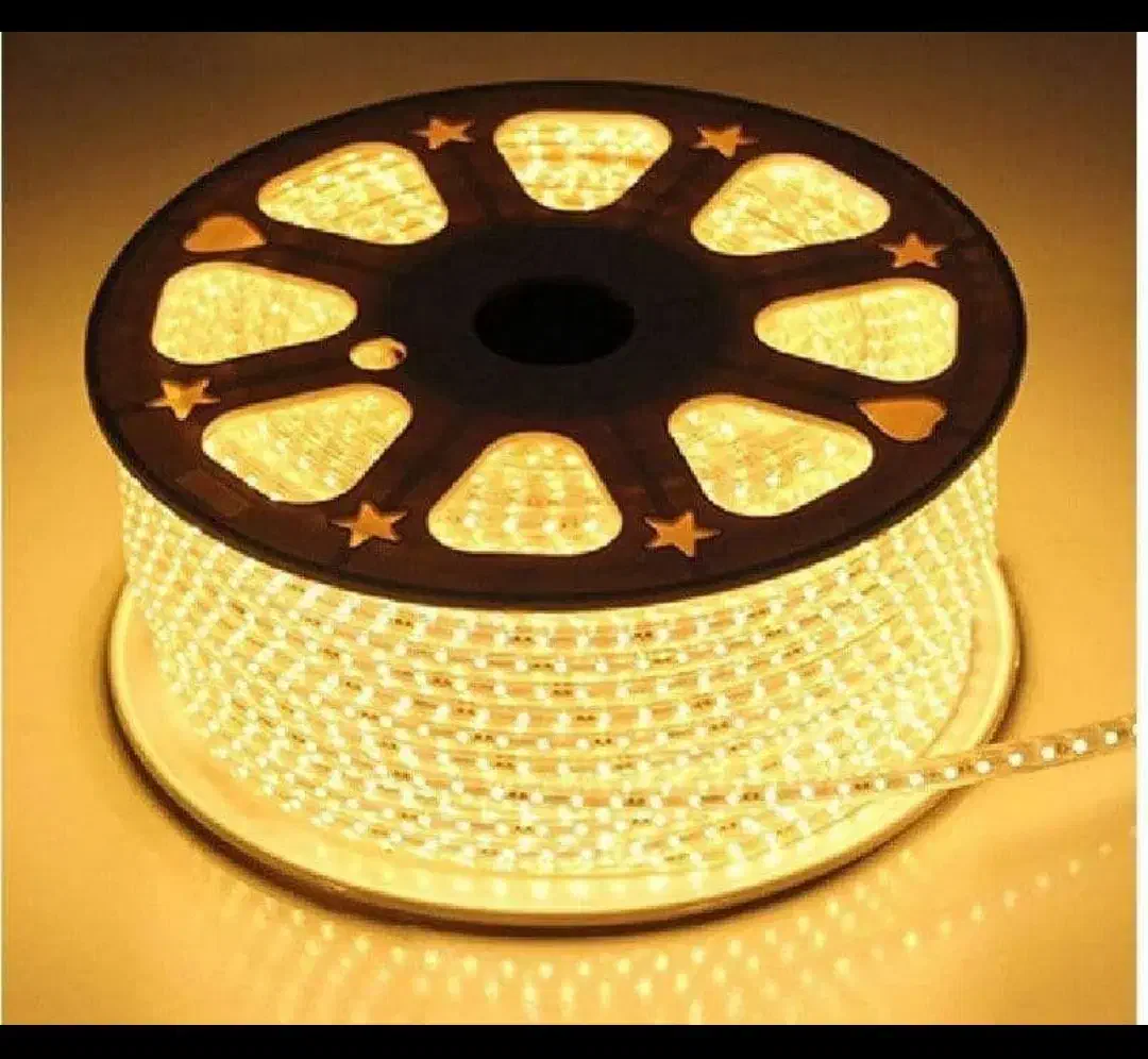 انواع ریسه شیلنگ وهالوژن زیر قیمت بازارگارانتی دار|لامپ و چراغ|اهر, |دیوار