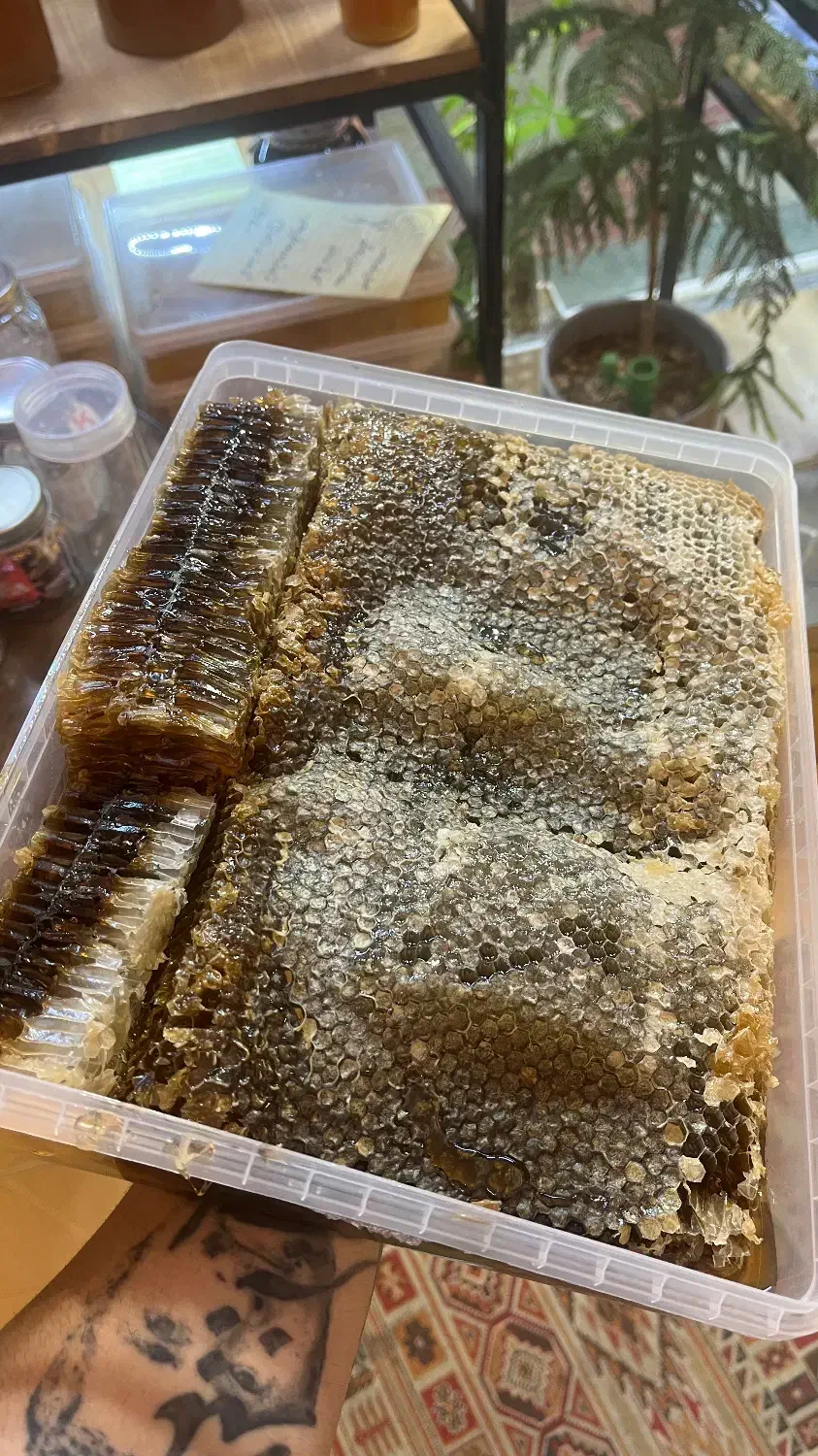 عسل درمانی ۱۰۰٪ طبیعی و ارگانیک|خوردنی و آشامیدنی|سهند, |دیوار