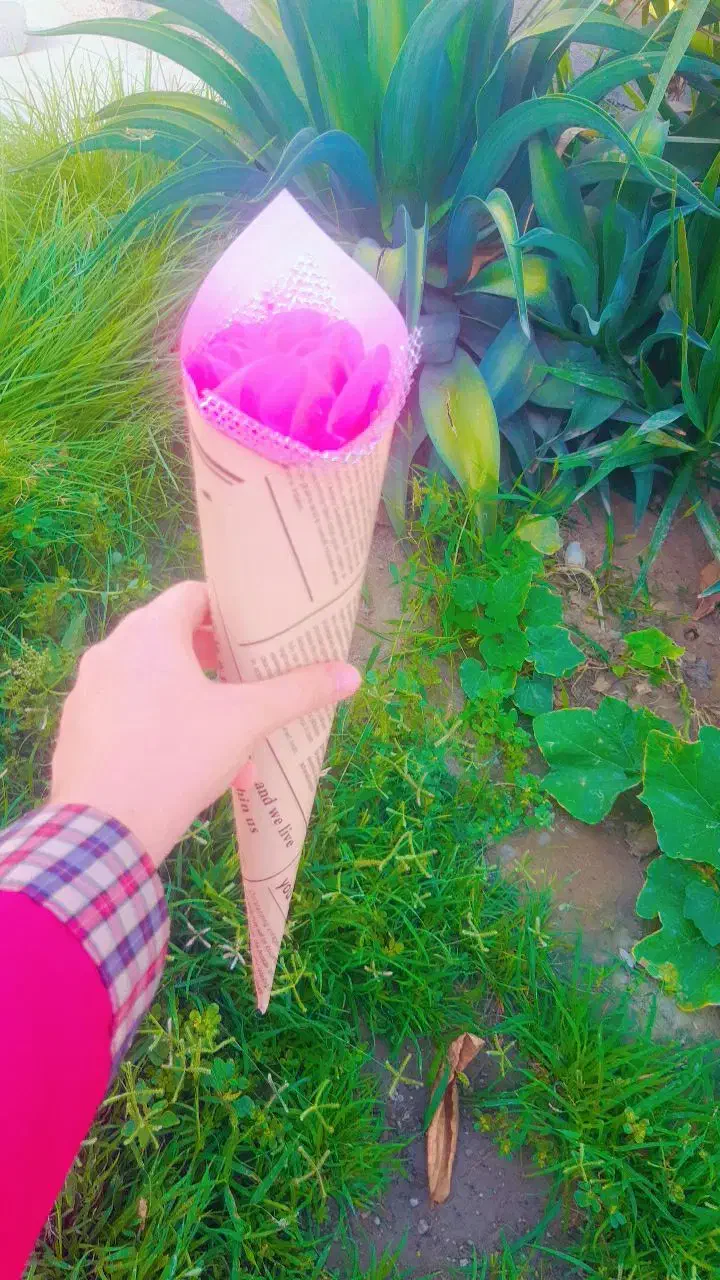 گل برای روز دانش آموز|گل مصنوعی|جاسک, |دیوار