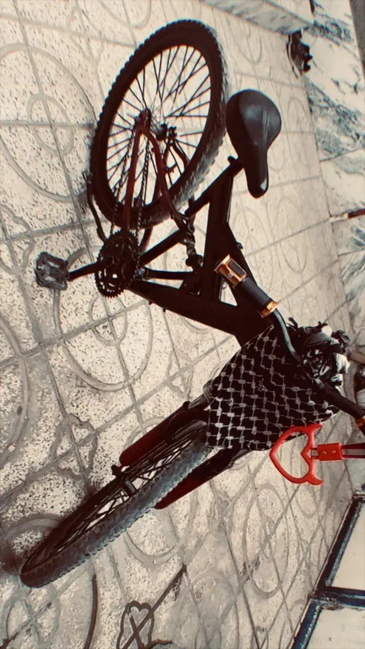 دوچرخه 24 استاتیک|دوچرخه، اسکیت، اسکوتر|زبرخان, |دیوار