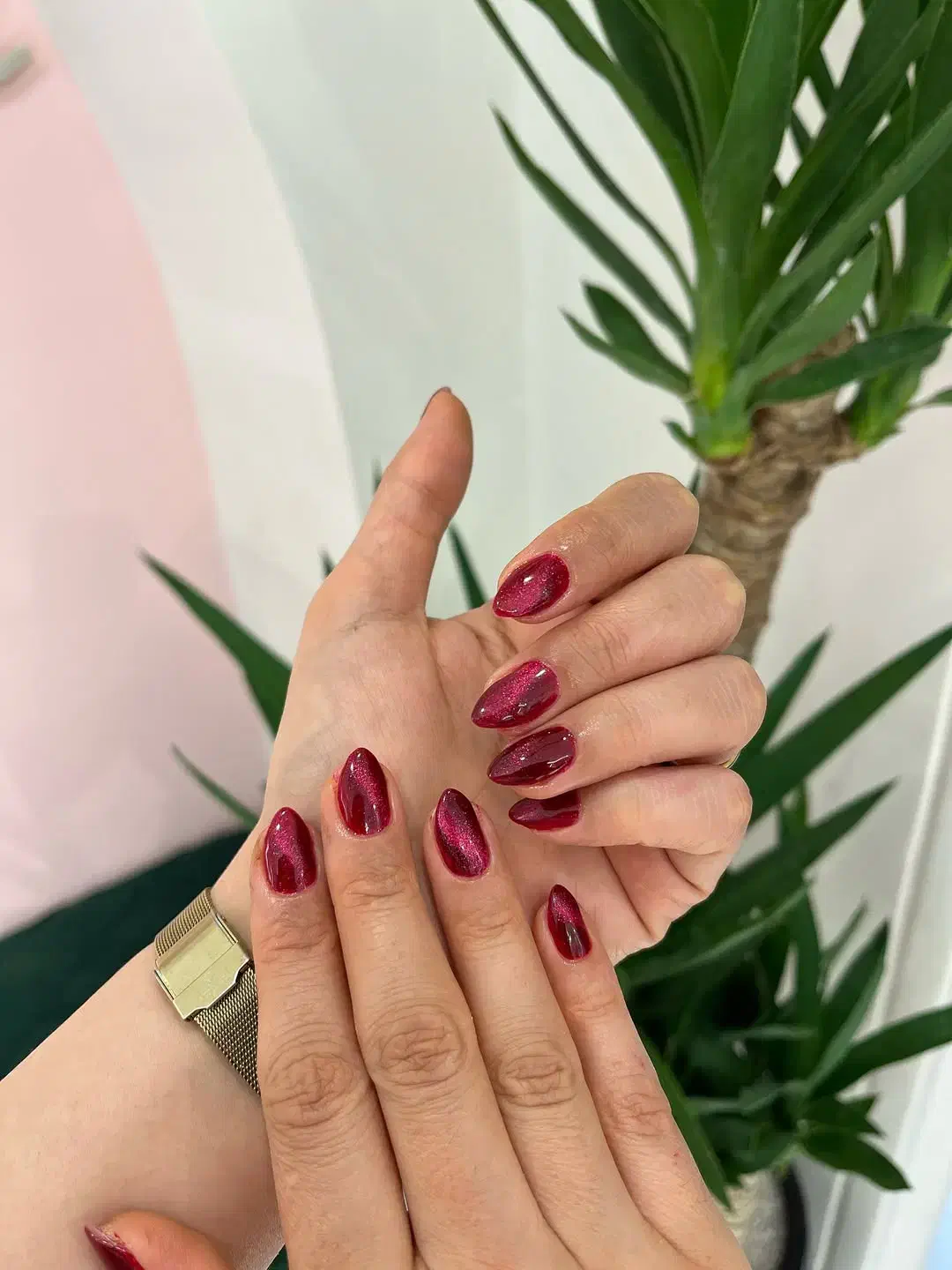 کاشت ناخن برای تکمیل آلبوم فقط هزینه مواد۲۵۰|خدمات آرایشگری و زیبایی|اصفهان, عطار نیشابوری|دیوار