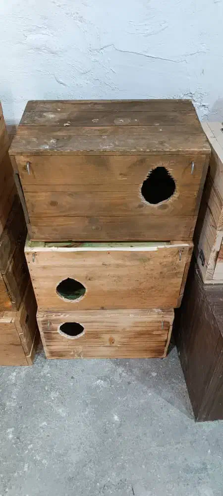 تعدادی لانه . لونه پرنده طوطی|لوازم جانبی حیوانات|آبادان, |دیوار