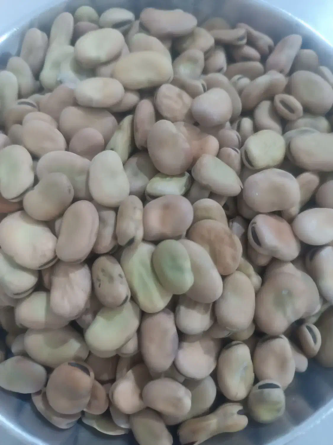 باقله|خوردنی و آشامیدنی|شیراز, شهرک مهرگان|دیوار