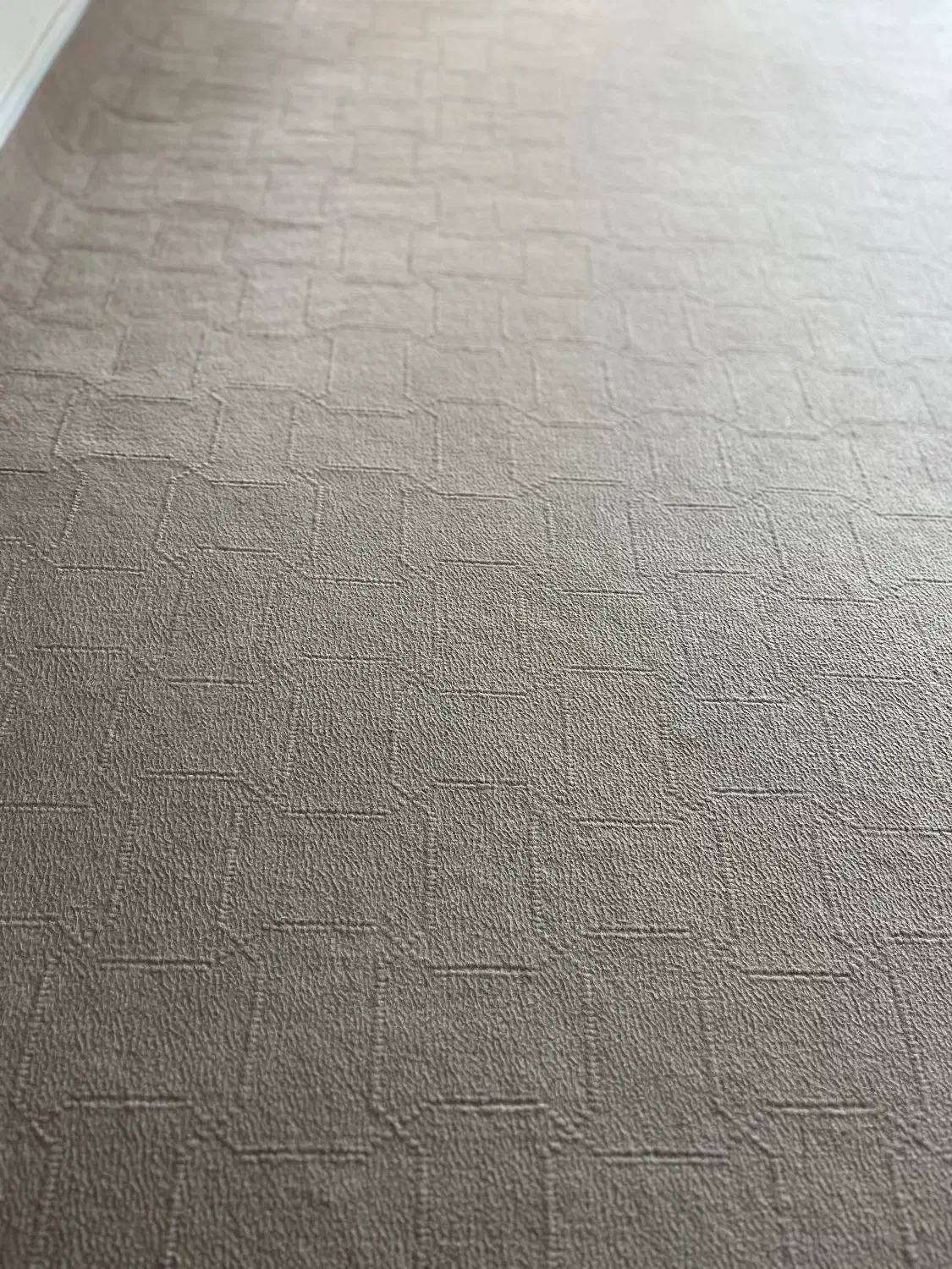 موکت درجه یک|موکت|مرودشت, دولت آباد|دیوار