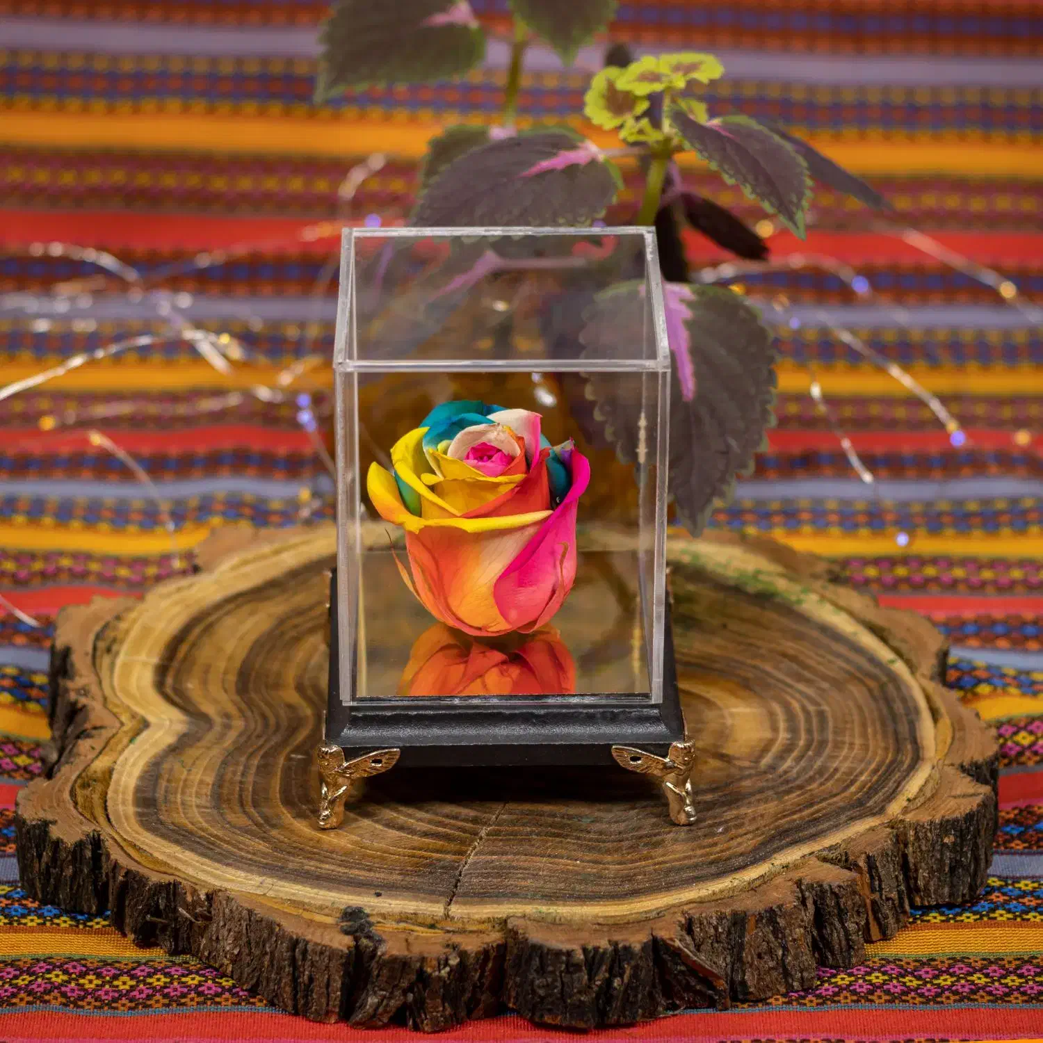 باکس گل جاودان مدل پینار|گل و گیاه طبیعی|تهران, دولاب|دیوار