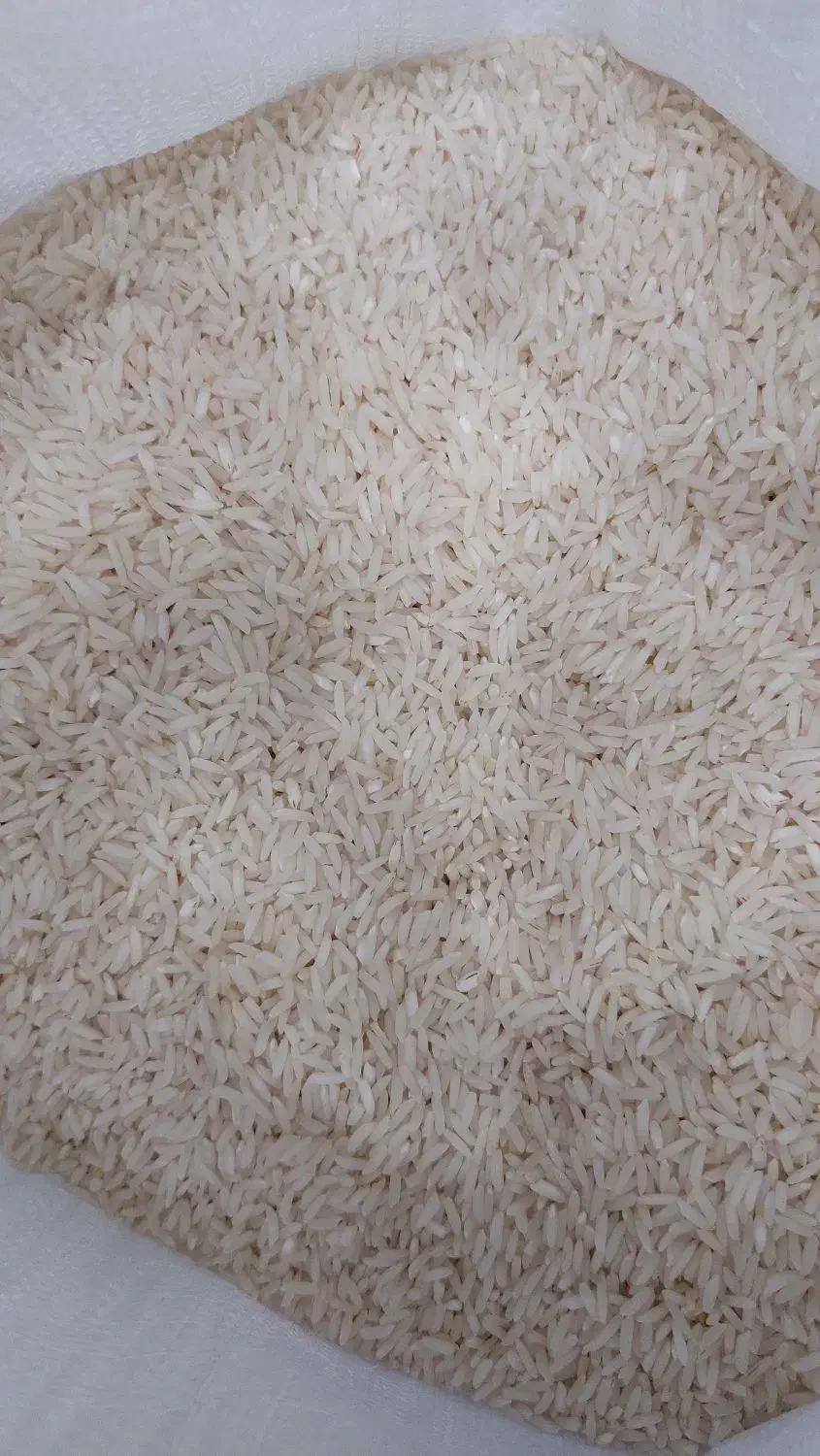 برنج هاشمی درجه یک سورتینگ شده|خوردنی و آشامیدنی|رشت, گلباغ نماز|دیوار