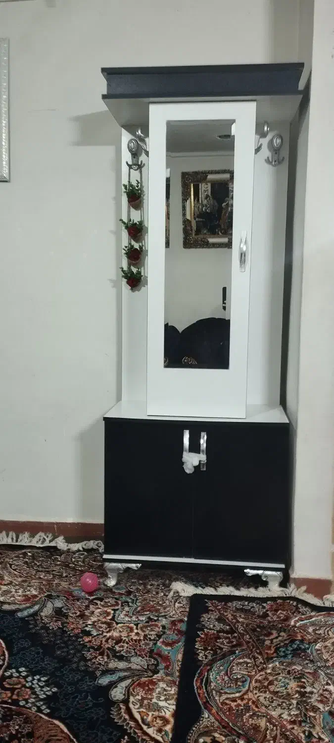 فروش یک کمد جا کفشی|جاکفشی، کمد، دراور|مشهد, خواجه ربیع|دیوار