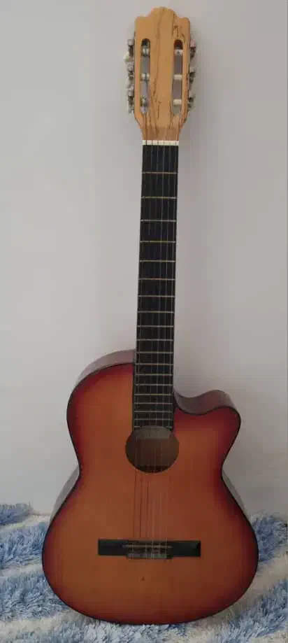 گیتار|گیتار، بیس، امپلیفایر|کازرون, |دیوار