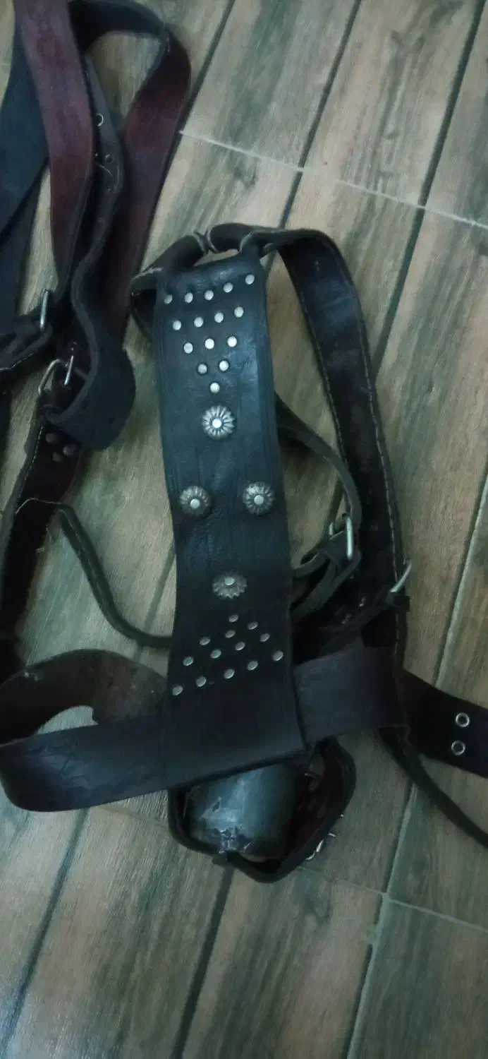 کمربند علامت|کلکسیون اشیاء عتیقه|دورود, |دیوار