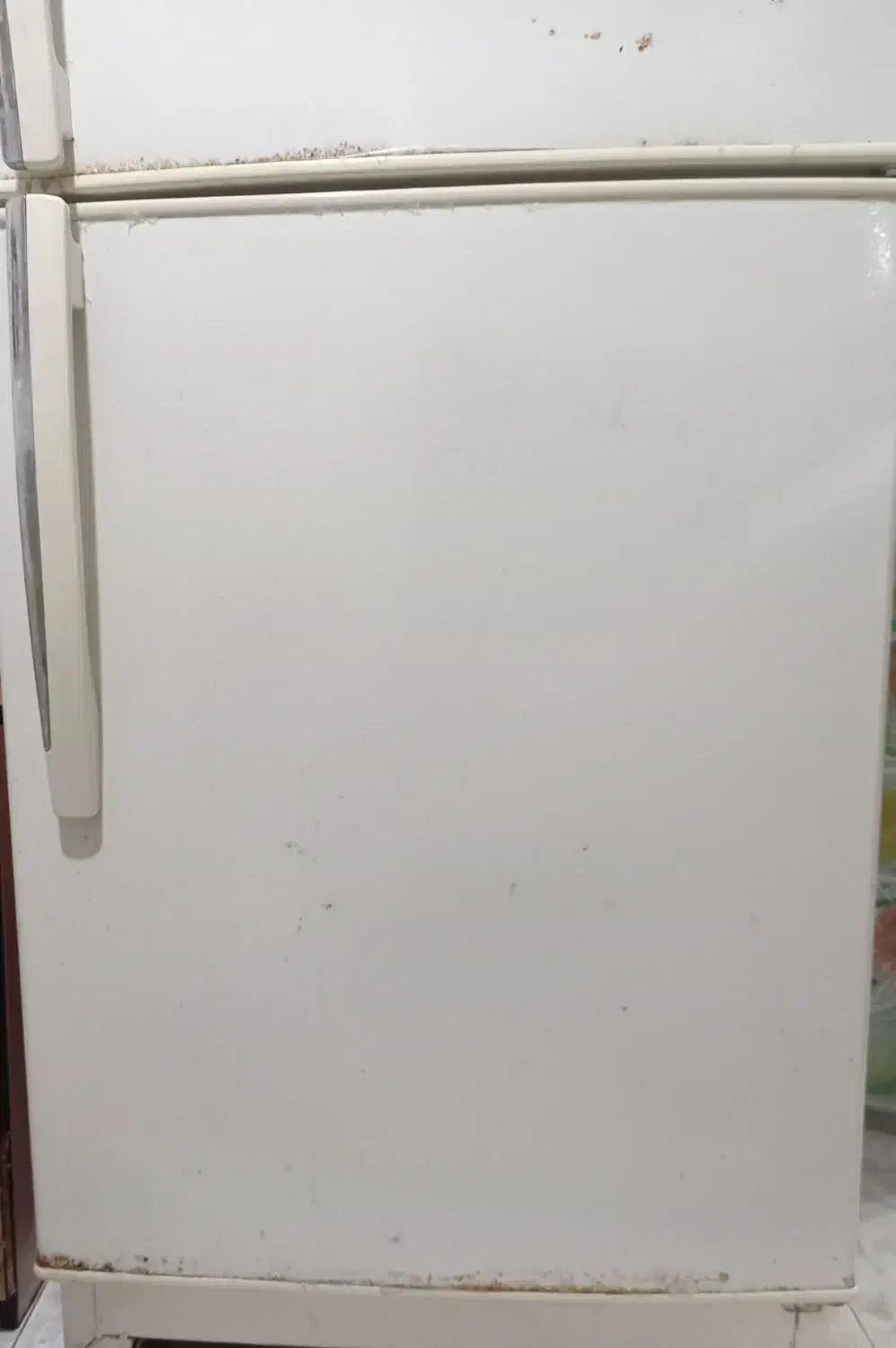 یخچال|یخچال و فریزر|گرگان, |دیوار