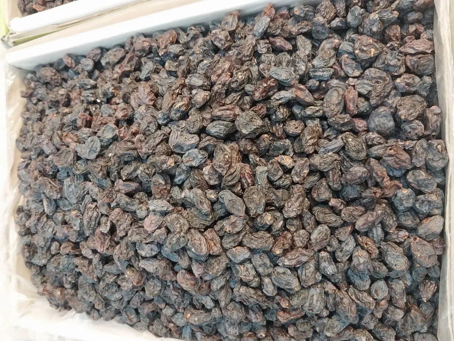 کشمش و میز|خوردنی و آشامیدنی|کرمان, |دیوار