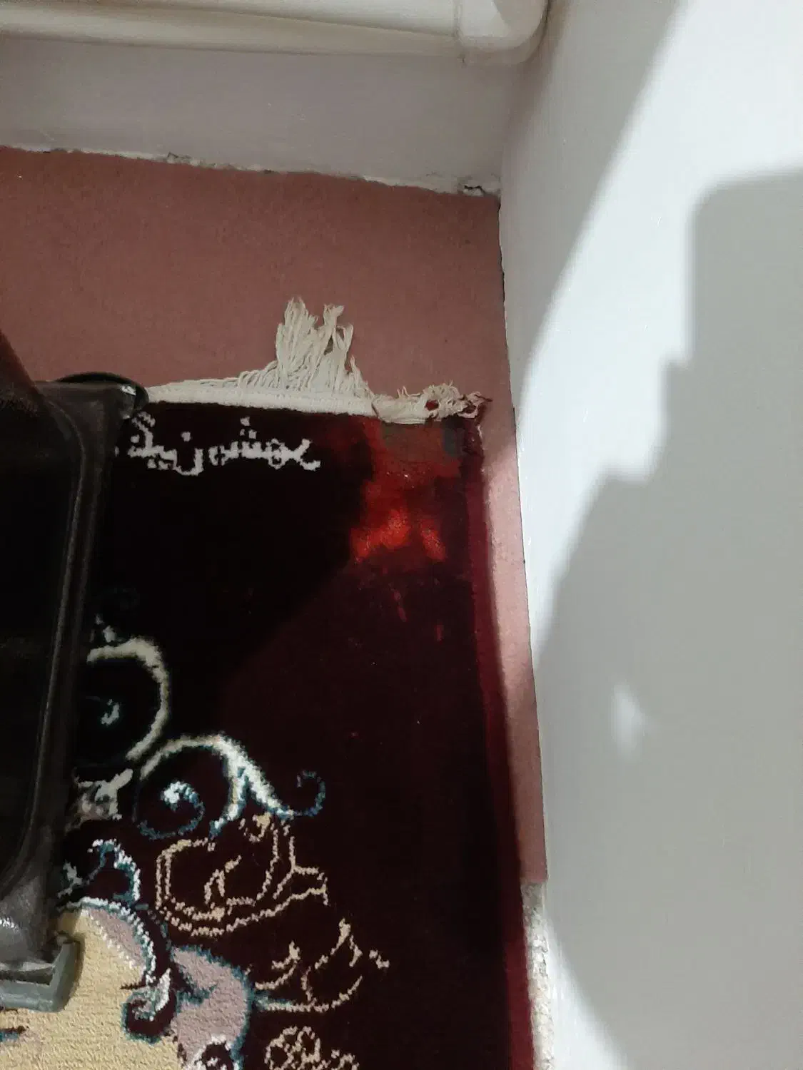 سه تا فرش ۱۲ متری|فرش|صحنه, |دیوار