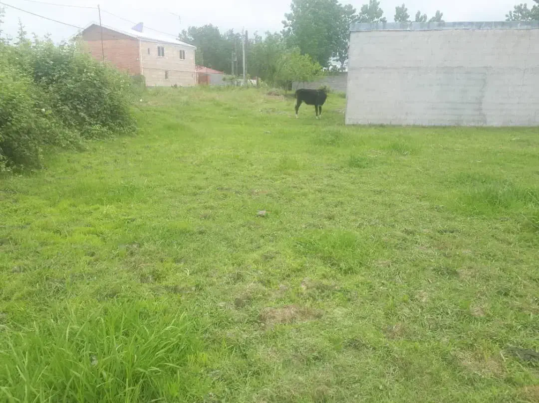 زمین|فروش زمین و ملک کلنگی|رشت, سیا اسطلخ|دیوار