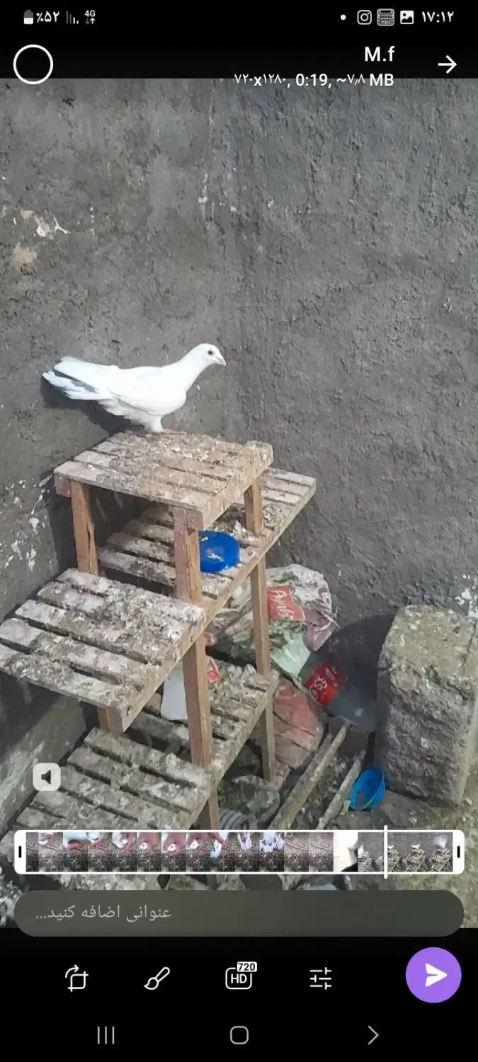 تابلو|تابلو، نقاشی، عکس|فردوس (خراسان), |دیوار