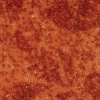 موکت|موکت|بیجار, |دیوار