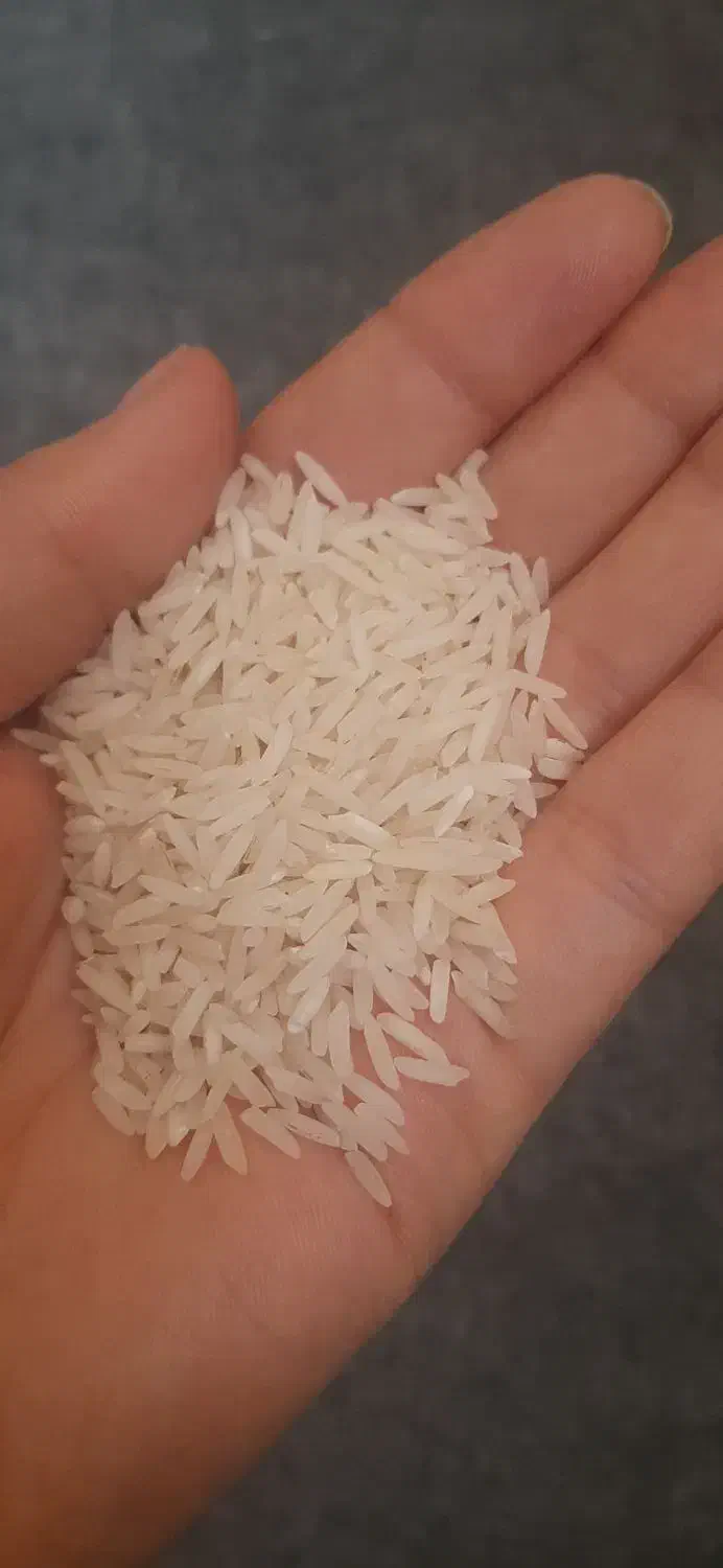 برنج هاشمی|خوردنی و آشامیدنی|چهاردانگه (تهران), |دیوار